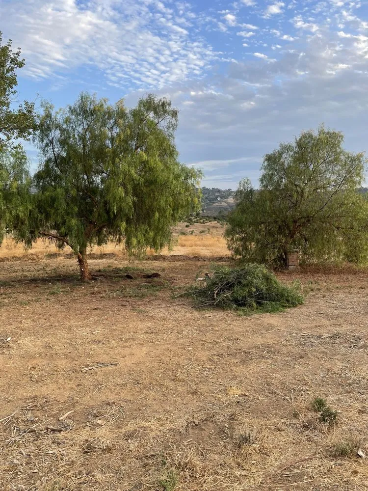 Professional landscape installation in Fallbrook, CA by Red Mountain Land Management