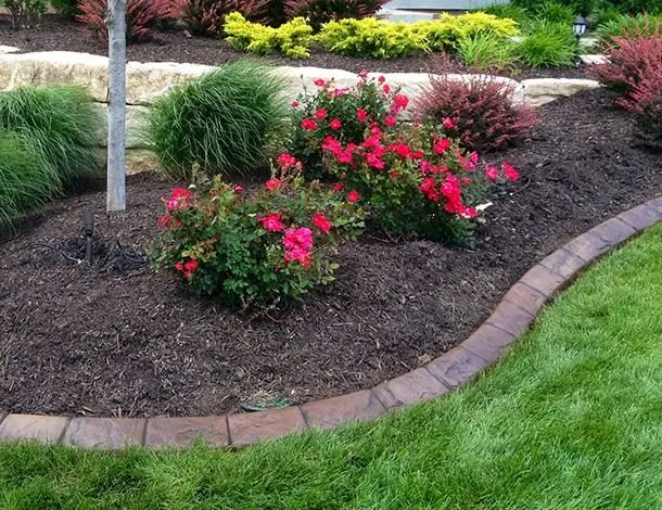 Reliable lawn care service experts serving Queen Creek, AZ - Red Mountain Landscaping