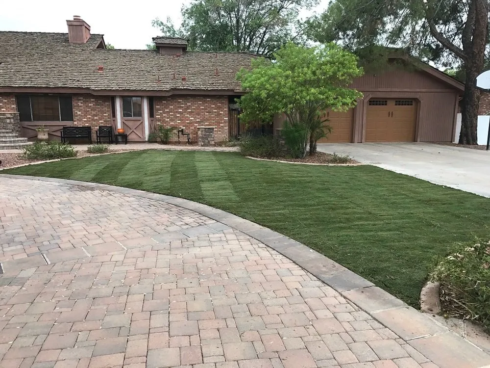 Trusted landscape design in Queen Creek, AZ - Red Mountain Landscaping