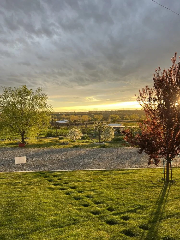 Professional garden landscaping for year-round maintenance across Benton City, WA - Red Mountain Lawn Care