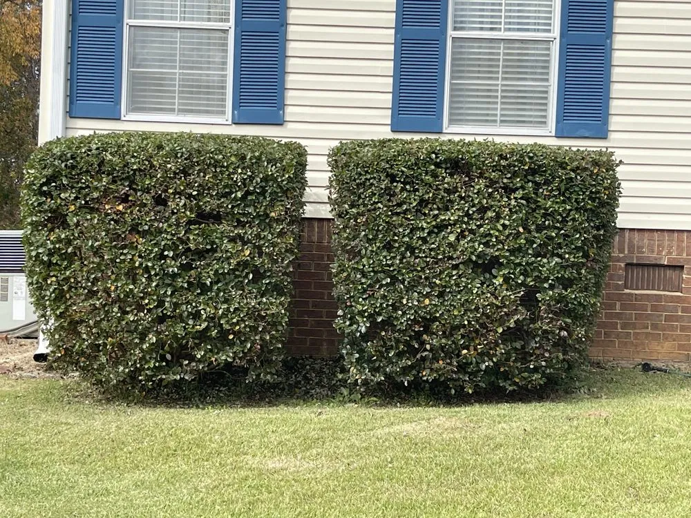 Professional yard cleanup service experts serving Leeds, AL - Red Mountain Lawn Care