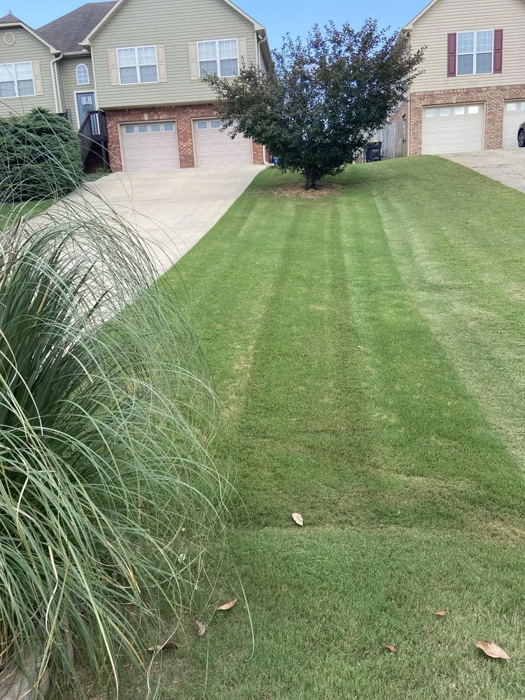 Professional landscaping services with custom design across Leeds, AL - Red Mountain Lawn Care