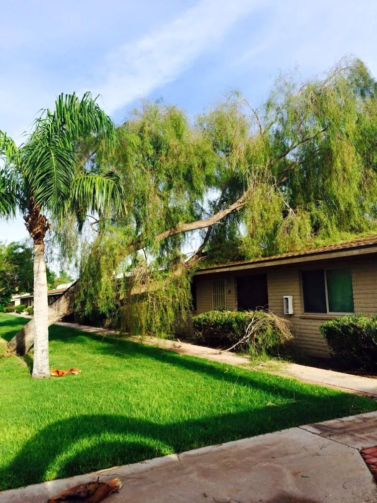 Custom landscaping services for residential properties in Phoenix, AZ by Red Mountain Lawn Care