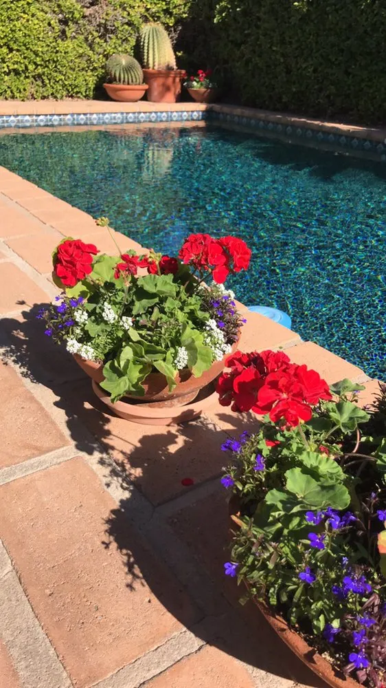 Professional outdoor landscaping experts serving Phoenix, AZ - Red Mountain Lawn Care