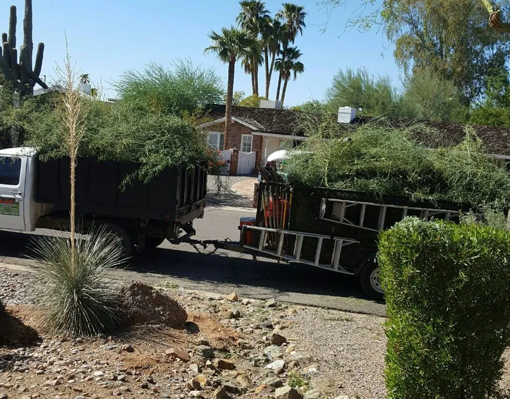 Local landscape design in Phoenix, AZ by Red Mountain Lawn Care