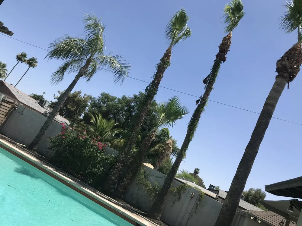 Local landscape installation in Phoenix, AZ by Red Mountain Lawn Care