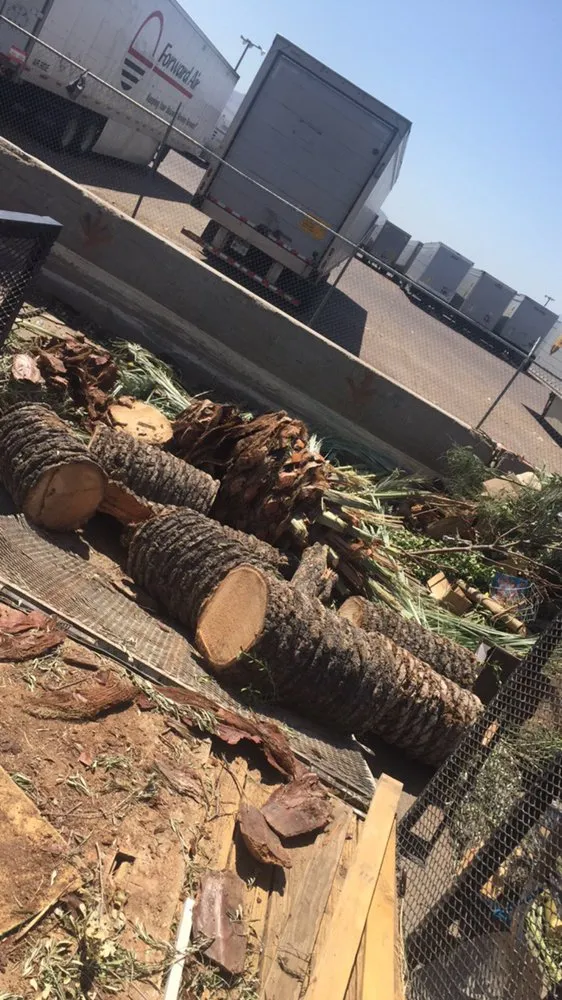 Local lawn care service in Phoenix, AZ - Red Mountain Lawn Care