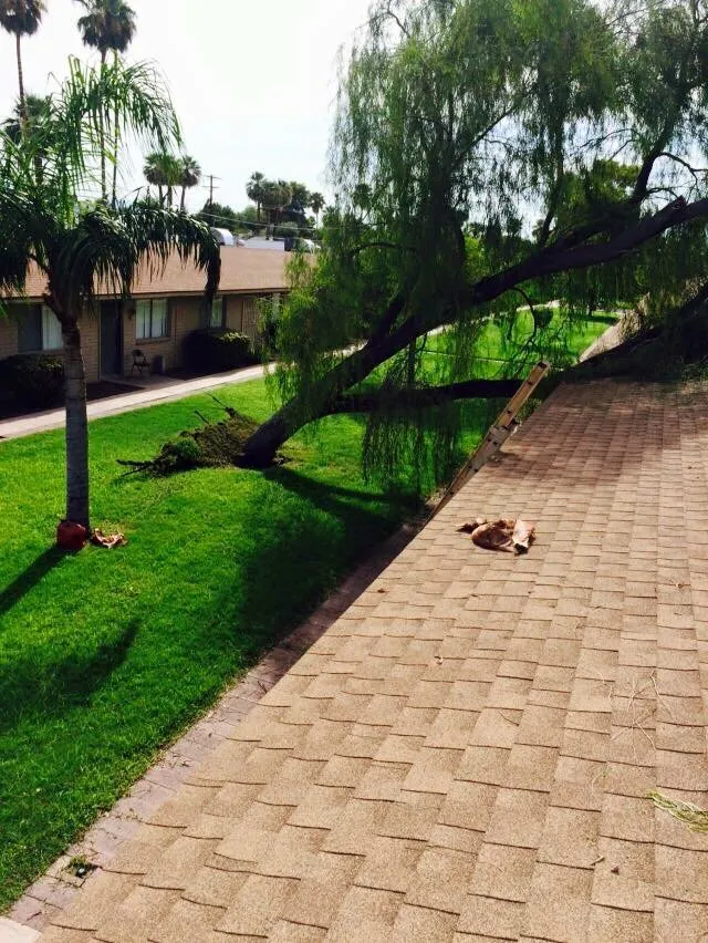 Trusted landscaping services near you in Phoenix, AZ by Red Mountain Lawn Care