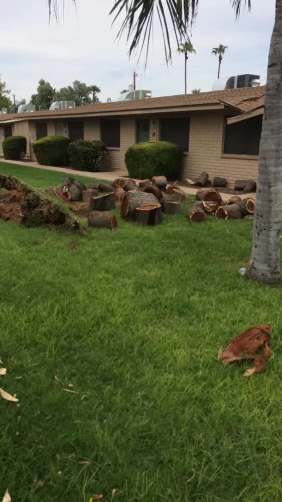 Professional lawn care service in Phoenix, AZ - Red Mountain Lawn Care