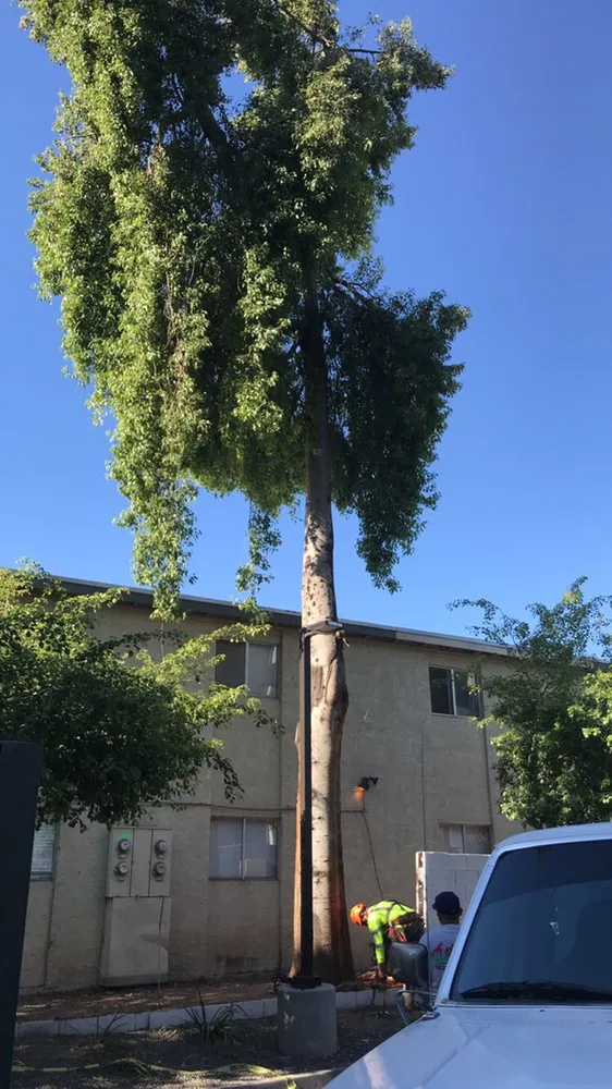 Reliable lawn mowing service for residential properties in Phoenix, AZ by Red Mountain Lawn Care