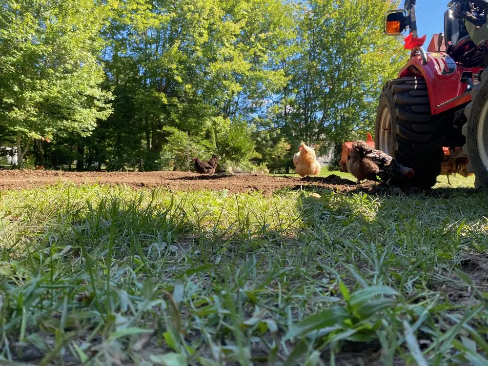 Professional outdoor landscaping in Ruckersville, VA by Red Mule Tractor Services