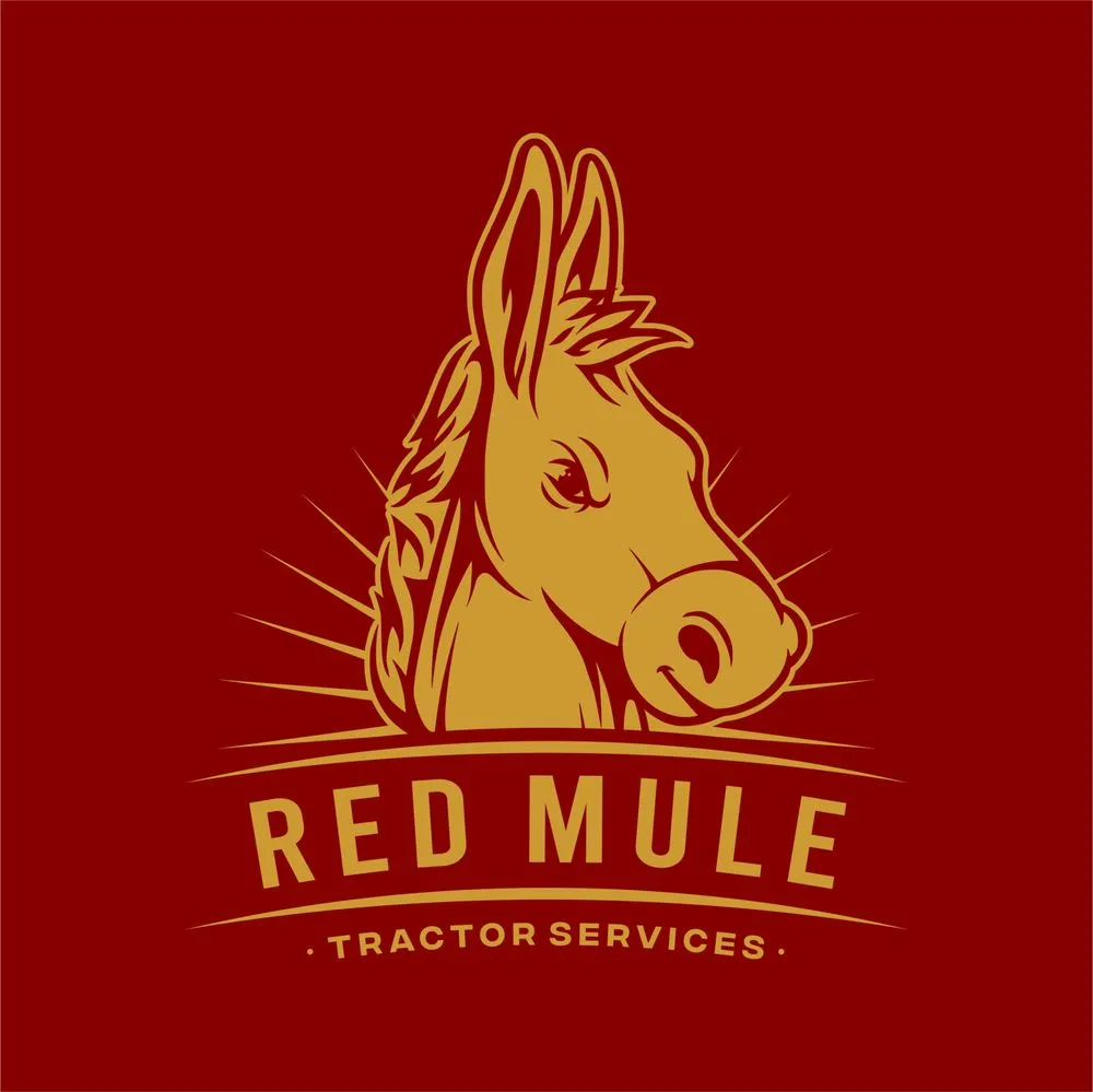 Reliable outdoor landscaping in San Antonio, TX - Red Mule Tractor Services