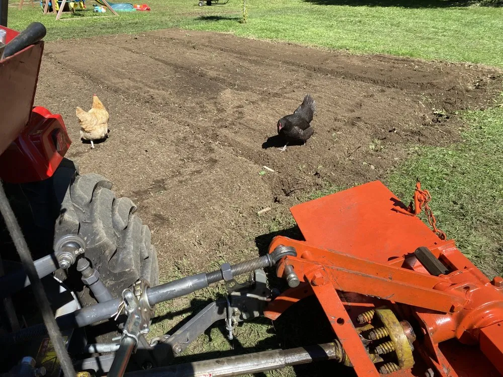 Professional landscape design experts serving San Antonio, TX - Red Mule Tractor Services