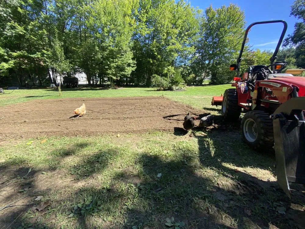 Affordable garden landscaping in San Antonio, TX by Red Mule Tractor Services