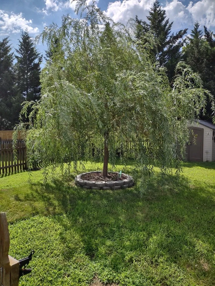 Custom landscaping services for beautiful yards in Heathsville, VA by Red Oak Grounds Maintenance