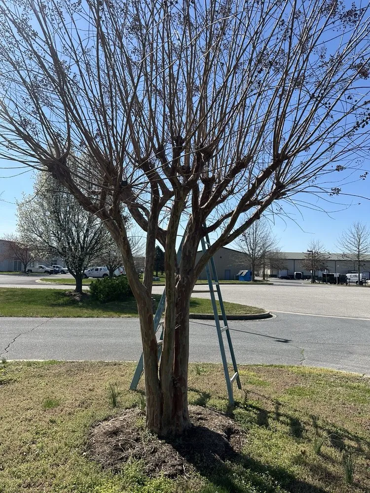 Affordable lawn care service in Heathsville, VA - Red Oak Grounds Maintenance