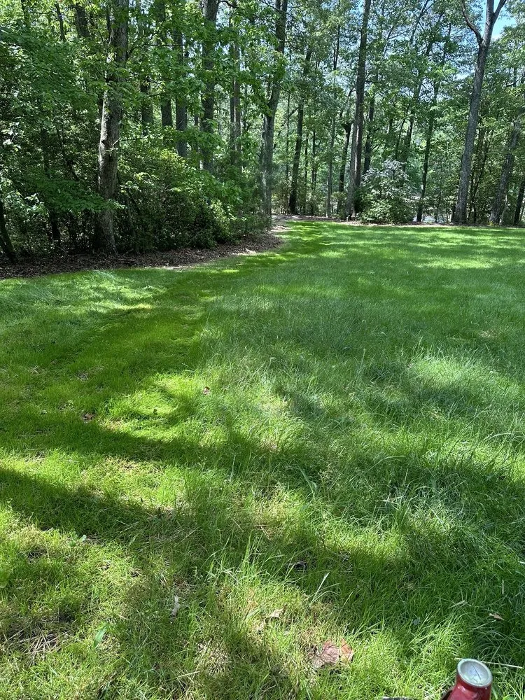 Trusted yard cleanup service for outdoor upgrades across Heathsville, VA - Red Oak Grounds Maintenance