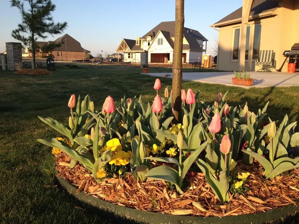 Local lawn care service in Jenks, OK by Red Oak Landscape