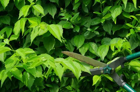 Professional landscape installation in Jenks, OK - Red Oak Landscape