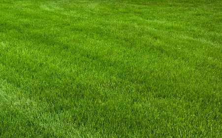 Trusted landscape installation experts serving Jenks, OK - Red Oak Landscape