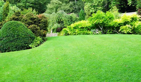 Local outdoor landscaping for outdoor upgrades in Jenks, OK by Red Oak Landscape