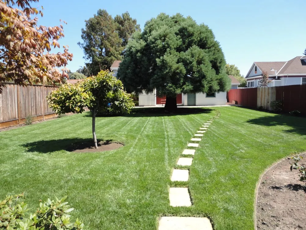 Local yard maintenance for homes in San Bruno, CA by Red Oak Landscape