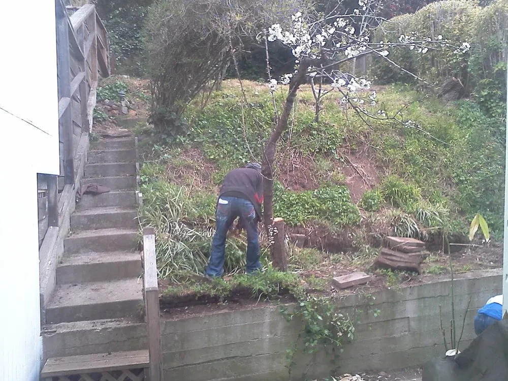 Local lawn mowing service experts serving San Bruno, CA - Red Oak Landscape