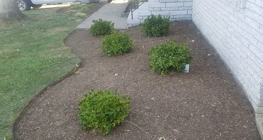 Expert lawn mowing service experts serving Morrisville, PA - Red Oak Landscaping & Lawn Maintenance