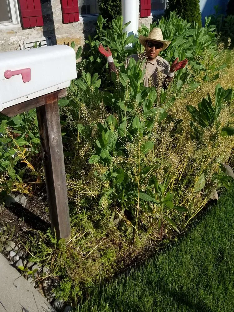 Professional yard cleanup service in Morrisville, PA - Red Oak Landscaping & Lawn Maintenance