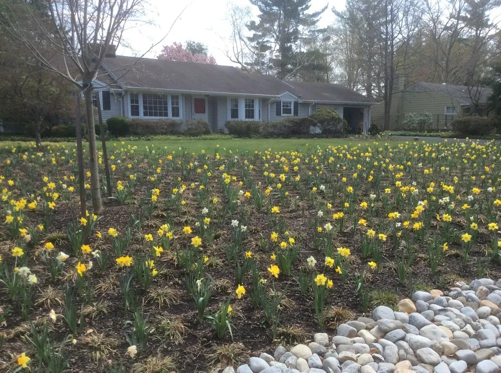 Trusted outdoor landscaping in Morrisville, PA - Red Oak Landscaping & Lawn Maintenance