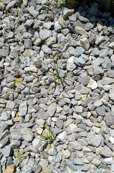 Professional yard maintenance for homes in Arnold, MO by Red Oak Landscaping