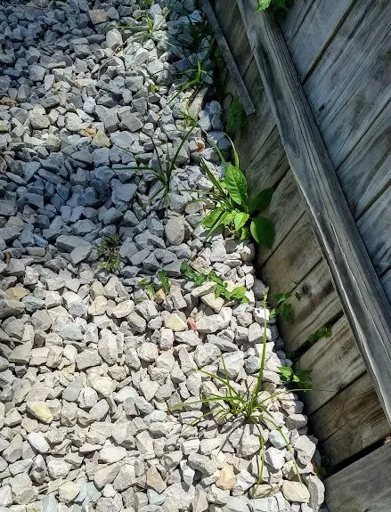 Reliable garden landscaping experts serving Arnold, MO - Red Oak Landscaping