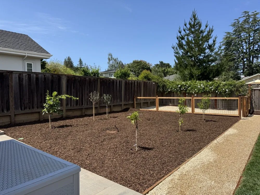 Professional lawn care service experts serving Redwood City, CA - Red Oak Landscaping