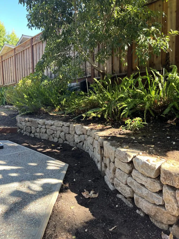 Reliable yard cleanup service in Redwood City, CA by Red Oak Landscaping