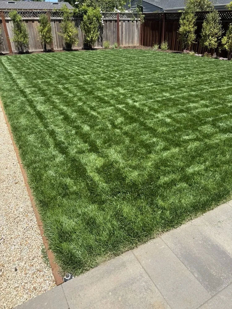 Reliable garden landscaping in Redwood City, CA - Red Oak Landscaping