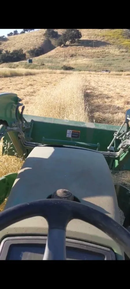 Expert outdoor landscaping in Santa Maria, CA by Red Oak Landscaping