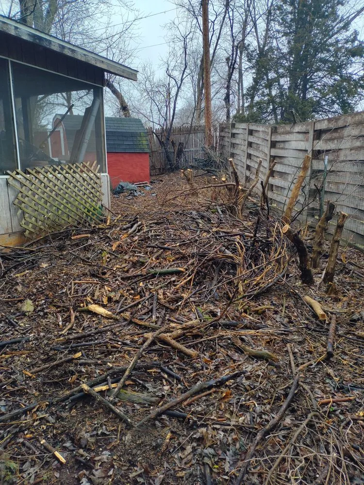 Expert landscape installation in Altoona, WI - Red Oak Property Care