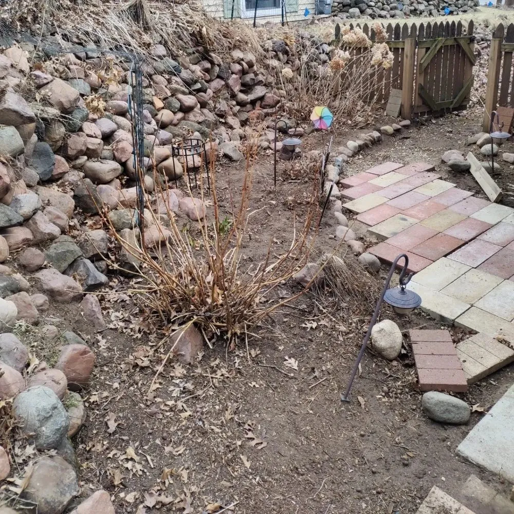 Top-rated yard cleanup service in Altoona, WI by Red Oak Property Care