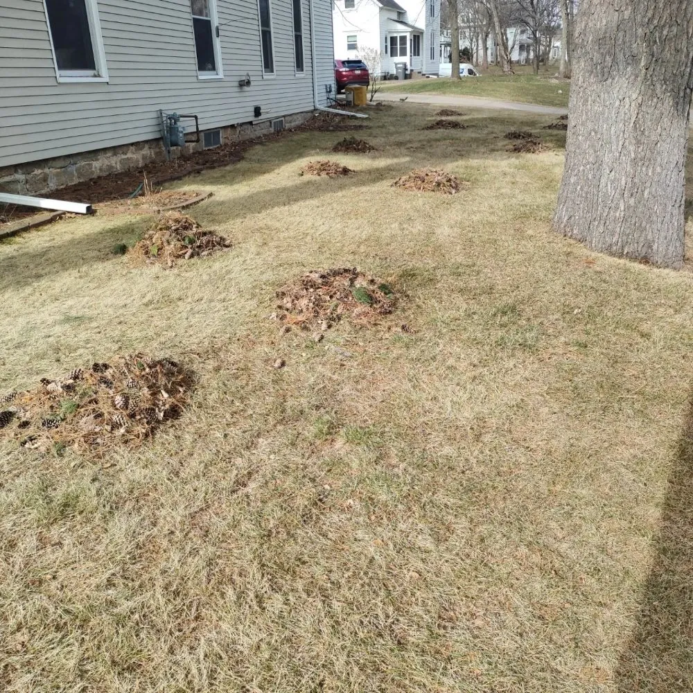 Top-rated garden landscaping in Altoona, WI - Red Oak Property Care