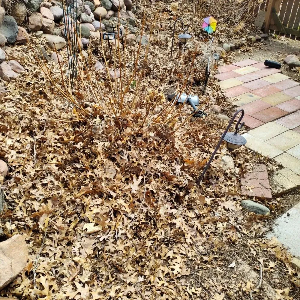 Professional lawn mowing service in Altoona, WI by Red Oak Property Care