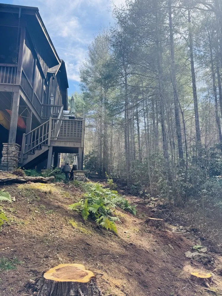 Trusted yard maintenance for beautiful yards in Marion, NC by Red Oak Property Solutions