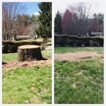 Expert lawn mowing service in Marion, NC - Red Oak Property Solutions