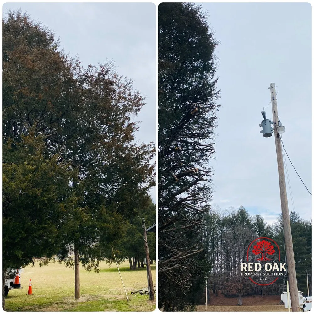 Affordable residential landscaping experts serving Marion, NC - Red Oak Property Solutions