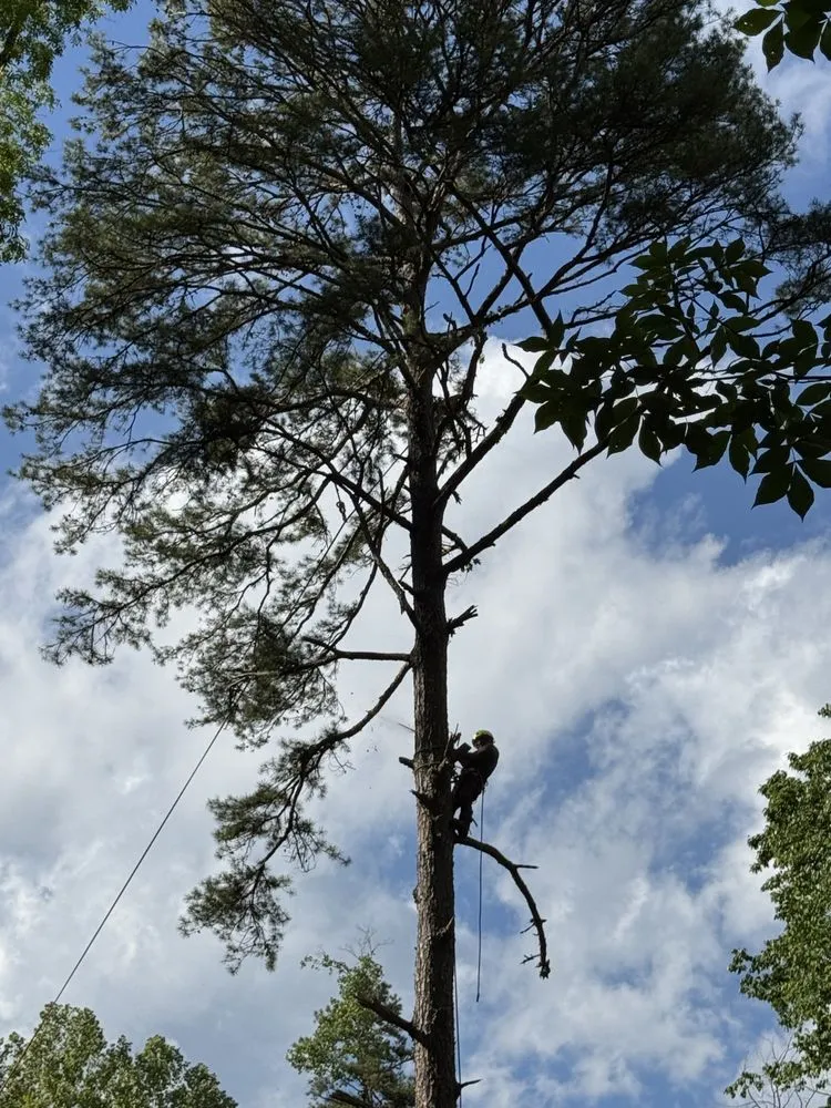 Expert yard cleanup service for year-round maintenance across Marion, NC - Red Oak Property Solutions