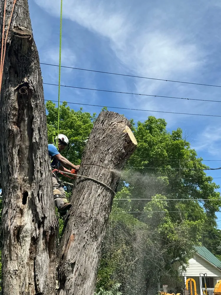 Affordable residential landscaping experts serving Marion, NC - Red Oak Property Solutions