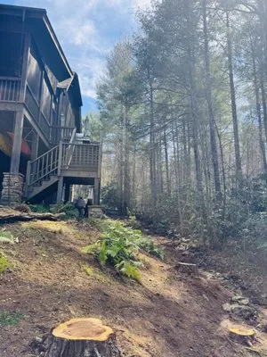 Red Oak Property Solutions Logo