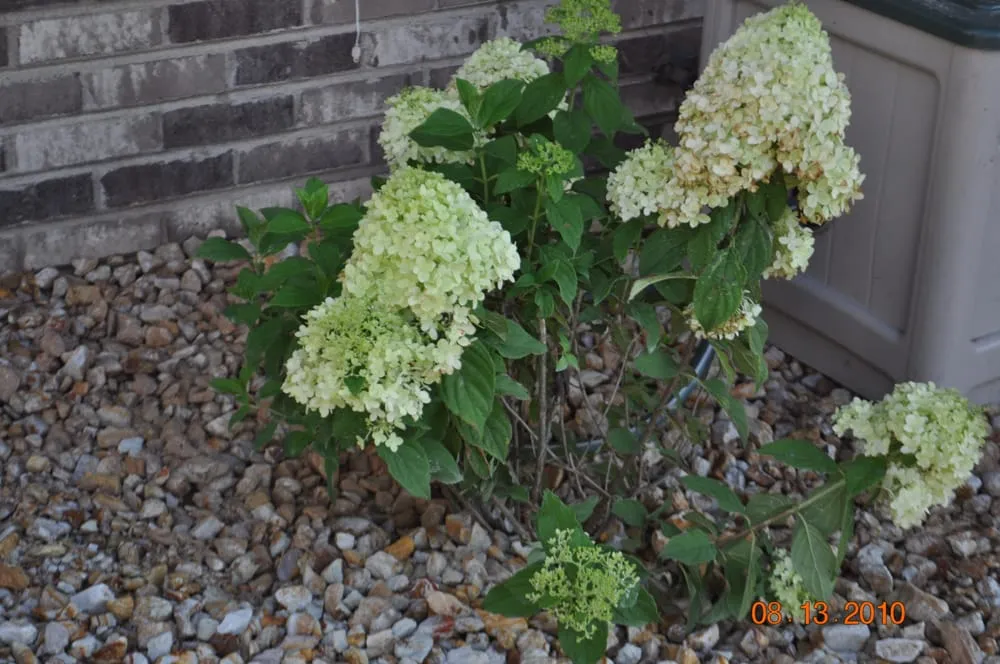 Affordable outdoor landscaping in crestwood, IL by Red Oaks Landscaping