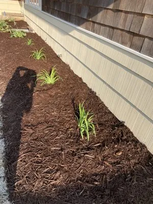 Red Pine Outdoor Solutions
