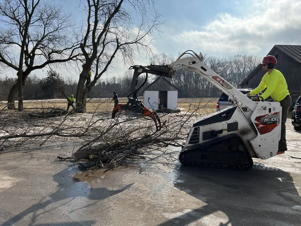 Top-rated yard maintenance experts serving Menomonee Falls, WI - Red Pine Tree and Landscaping Services