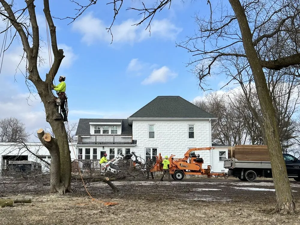 Top-rated lawn mowing service for outdoor upgrades in Menomonee Falls, WI by Red Pine Tree and Landscaping Services